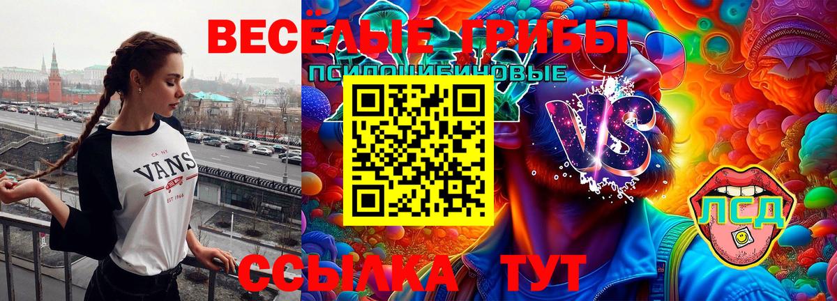 Псилоцибиновые грибы GOLDEN TEACHER Касимов