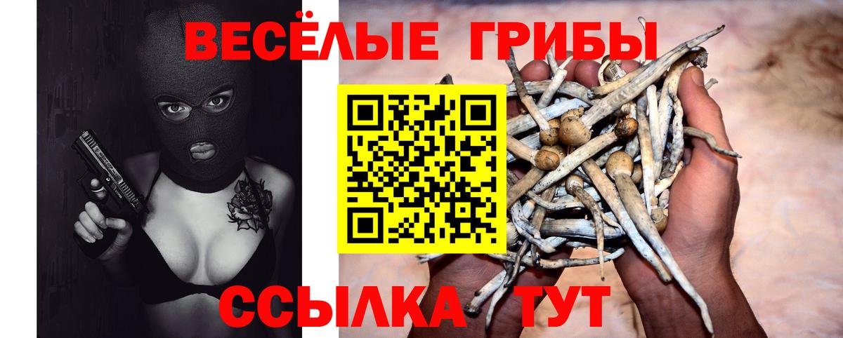Галлюциногенные грибы ЛСД  Галлюциногенные грибы Psilocybe  Вход с VPN  Касимов 